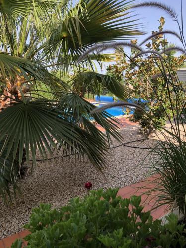 Garden-Pool